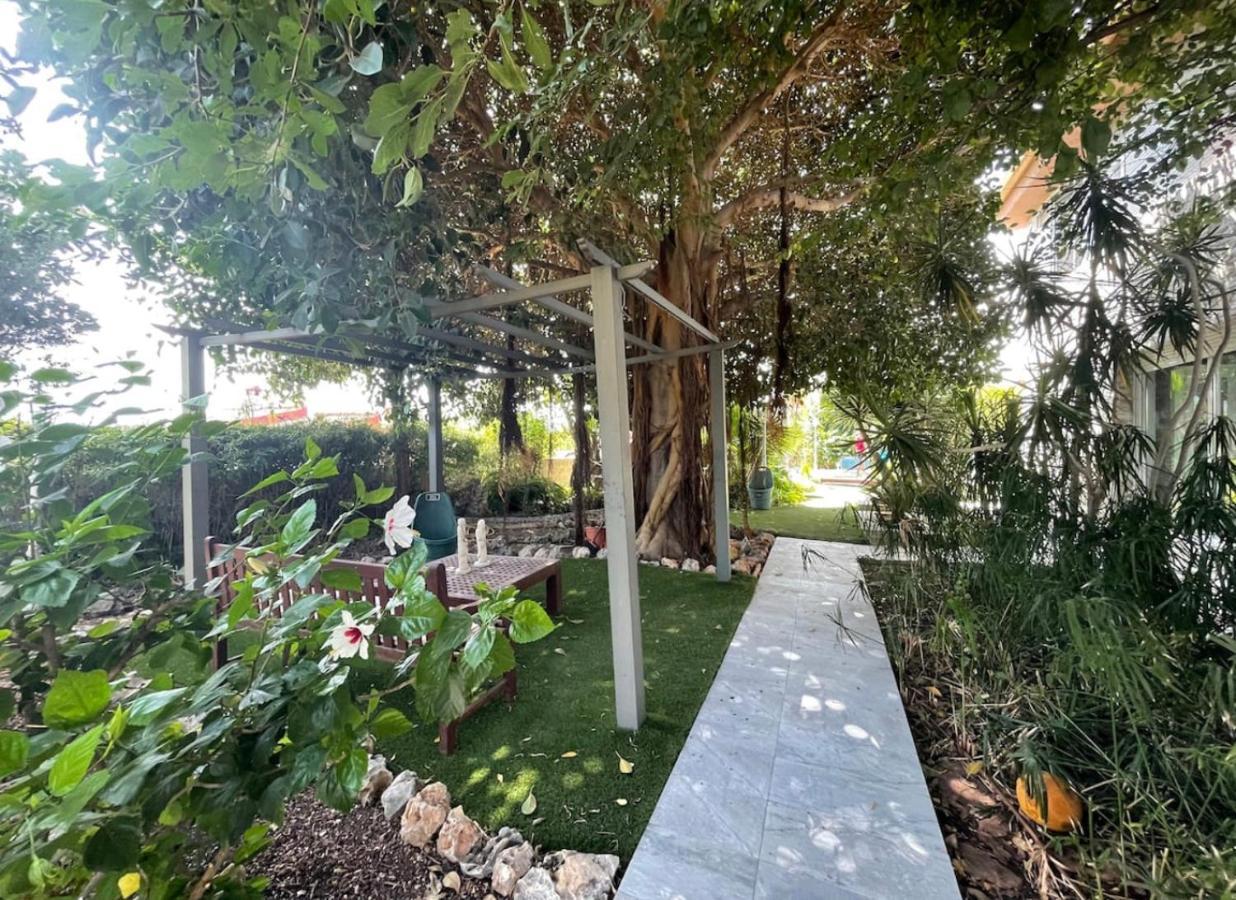 Habitación cama de matrimonio con baño privado San Vicente Raspeig Exterior foto